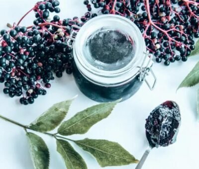 Benefits_of_Elderberries