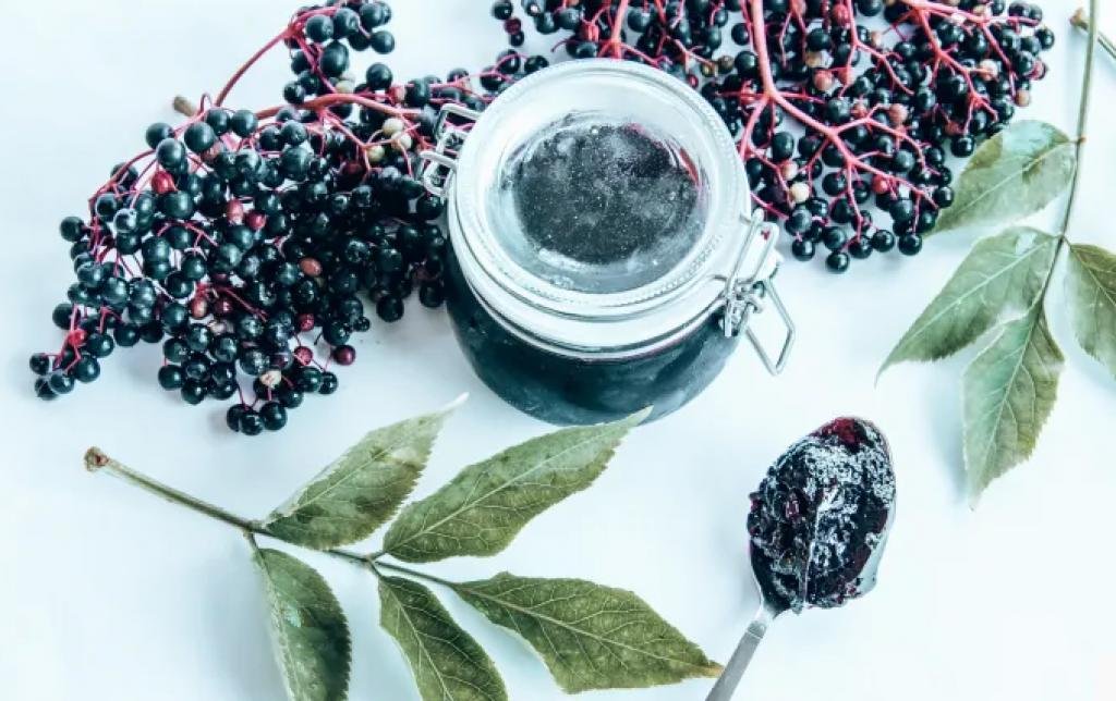 Benefits_of_Elderberries