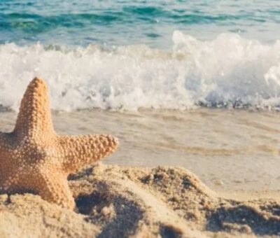 Best Sea Beach You Should Visit in 2022