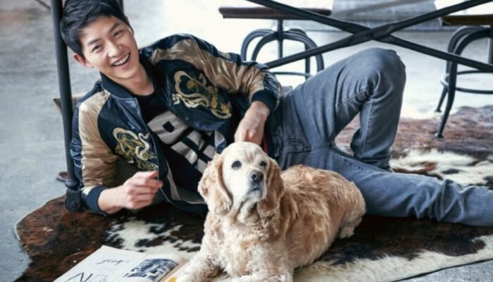 Top 7 South Korean Actors will Make You Thirsted